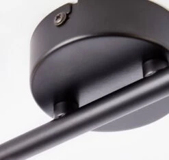 BRILLIANT Plafonnier Dalma I 13 BRILLIANT Plafonnier Dalma I -BRILLIANT Magasin 1000026217 210302 08460100012 DETAILS P000000001000026217