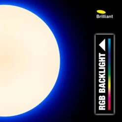 BRILLIANT Plafonnier LED Edna II -BRILLIANT Magasin 1000196403 191122 08343600198 DETAILS P000000001000196403