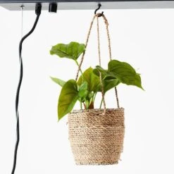 BRILLIANT Suspension Bankwood -BRILLIANT Magasin 1000307245 211110 11434100632 DETAILS P000000001000307245